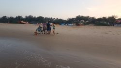 1931c7cc-3420-46ed-9369-bd63dc17d9fc