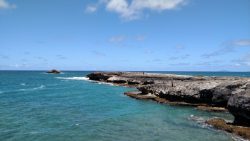 267d11dd-5e0f-4255-a3d4-eb7758923a85