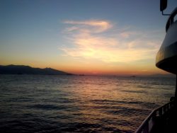 35f62afe-351a-42cb-84bb-4a0996f4ddc5