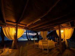 57ab0202-a128-456a-abc5-5e299919291b