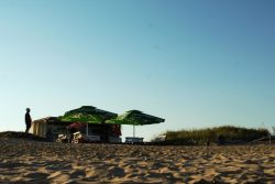 63bba4b2-d605-4340-ae21-cc52684c9018