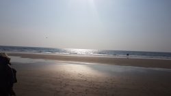 86fe651f-4448-4f16-b24e-6fbc2151f5ae