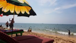 8cb1766d-0bad-49be-9343-a78b326da6e4