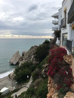 8d0743c0-d663-4e3f-9476-7e91a681e720