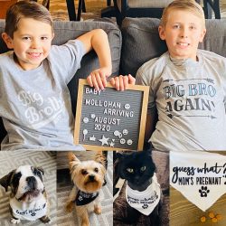 abdfbcfclpc-15983544934l8pc