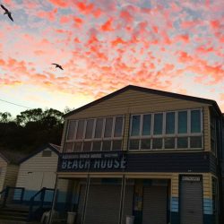 c1ebdbe9-5be1-4ff7-b704-fb9cdcbb5d4f