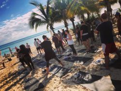 cbcfeccefbfcaelpc-1598354493lcp48