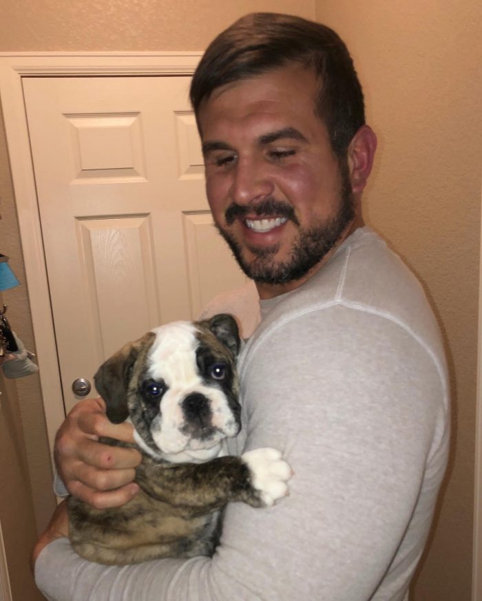 English Bulldog, best dogs to own, good with kids