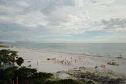 cc22b829-69d6-4615-aa30-ad8b54c96f55