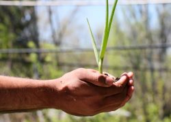 ec10c5b2-71b6-4603-a3fb-182ede1b99f5