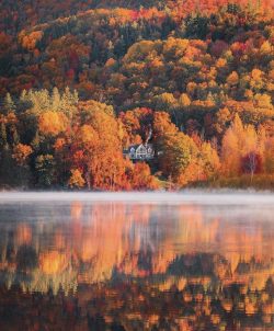Fall in Vermont 🙌🏻❤️🧡💛💚