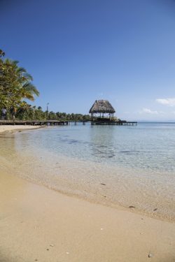 f5dbddae-9eab-493b-951a-5c27f73ff933