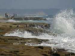 beach, ocean, vacation
