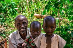 jumpstory-download20200709-095019